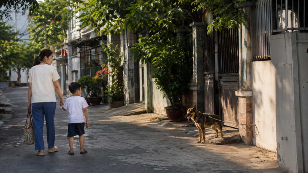 Prévention du risque de morsure de chien dans une rue au Vietnam.